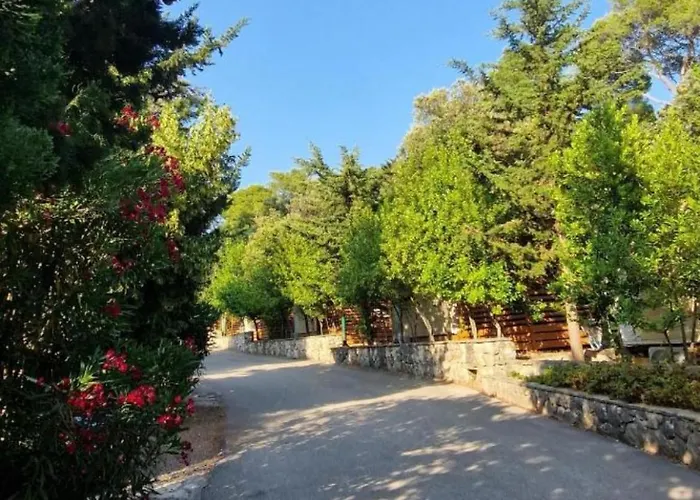 Mobile Sims * Biograd Na Moru