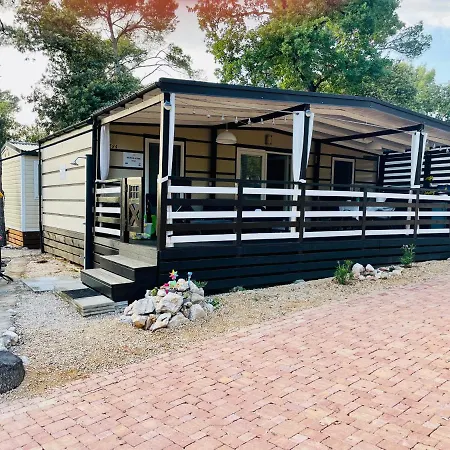 캠프장 Mobile Sims *