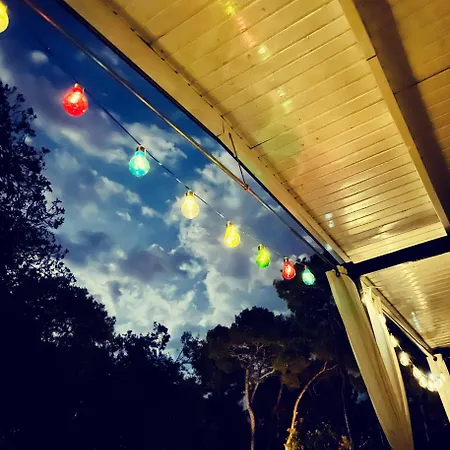 Camping Mobile Sims *