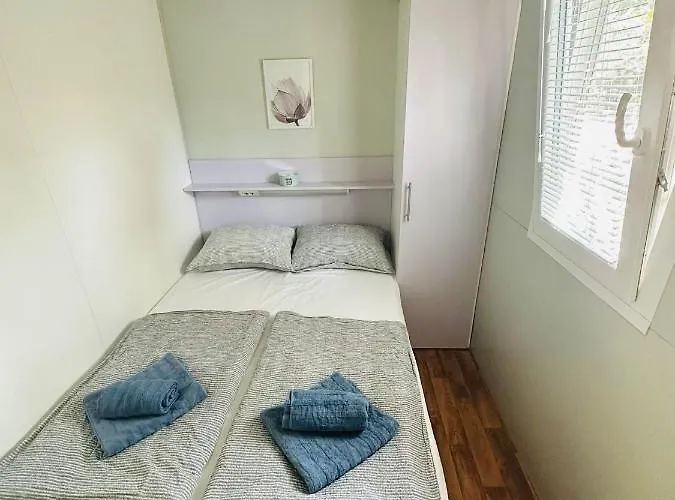 キャンプ場 Mobile Sims