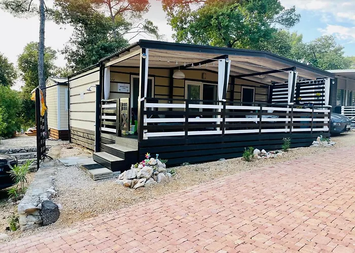 Camping Mobile Sims *