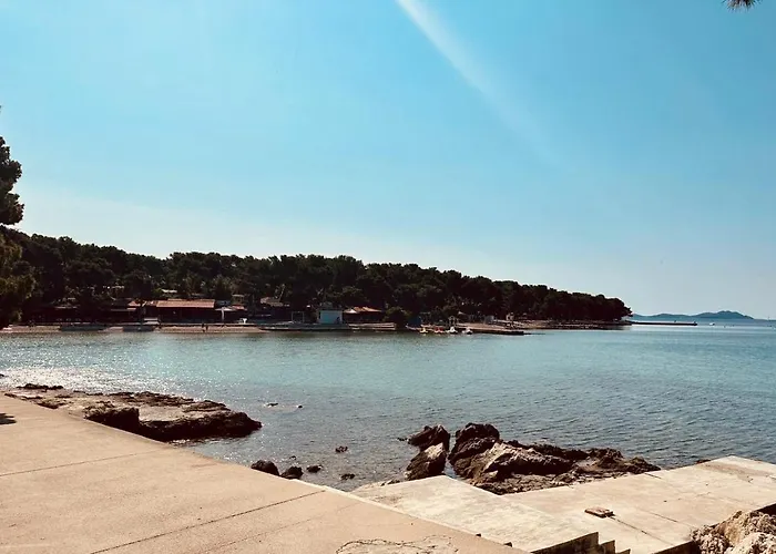 キャンプ場 Mobile Sims